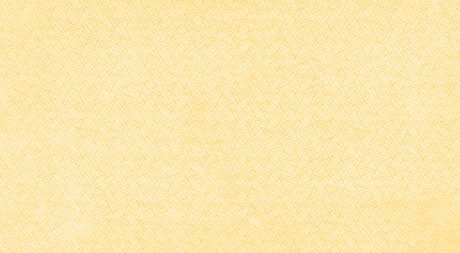 Реверс банкноты 100 рублей 