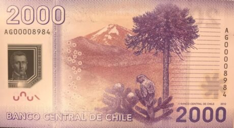 Реверс банкноты 2000 песо (Чили) 2009 года