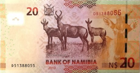 Реверс банкноты 20 долларов (Намибия) 2013 года