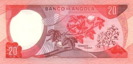 Реверс банкноты 20 escudo angolskich 1972