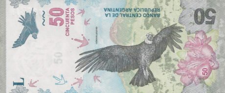 Затверджено нову банкноту Аргентини номіналом 50 песо (B418a)