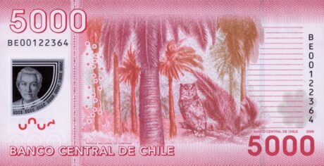 Затверджено нову полімерну банкноту Чилі номіналом 5000 песо (B298a)