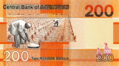 Затверджено нове сімейство банкнот Гамбії 2019 р. (B235a – B240a)