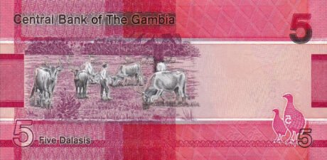 Затверджено нове сімейство банкнот Гамбії 2019 р. (B235a – B240a)