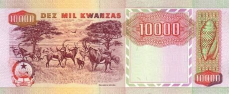 Реверс банкноты 10000 Ангольских кванза 1991 года