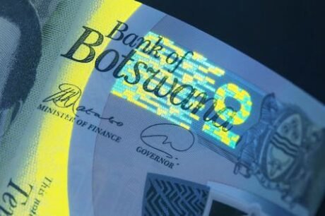 Затверджено нову полімерну банкноту Ботсвани номіналом 10 пул (B129a)