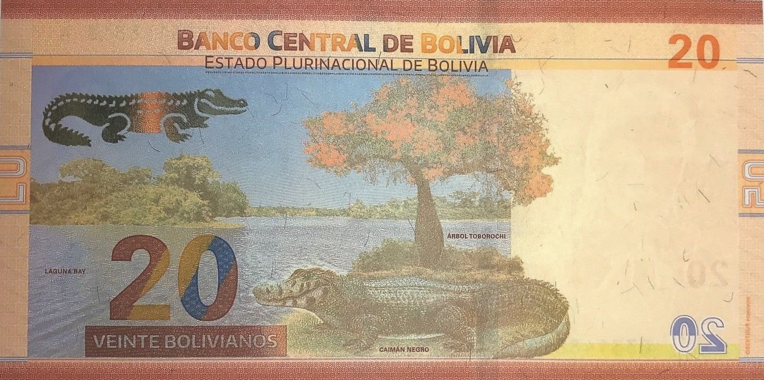 Реверс банкноты 20 Bolivianos Ríos, Катари, Муиба (Боливия) 2018 года