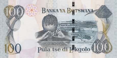 Реверс банкноты 100 пула (Ботсвана) 2004 года