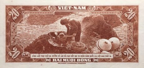 Реверс банкноты 20 донгов (Вьетнам) 1962 года