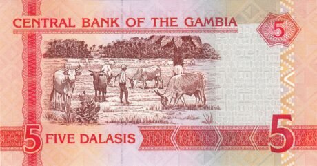 Реверс банкноты 5 Даласис (Гамбия) 2006 года