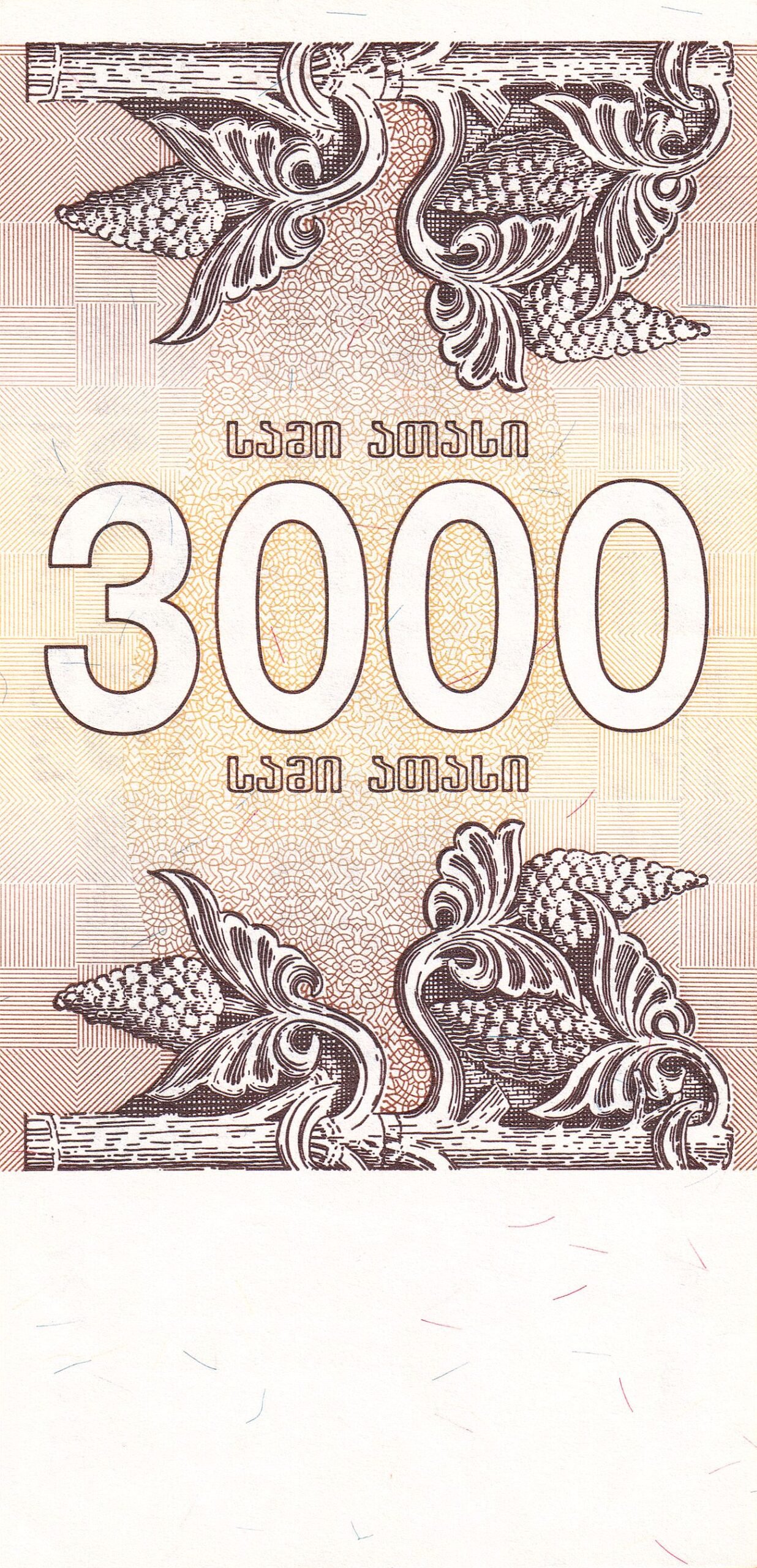 Реверс банкноты 3000 Купони (Грузия) 1993 года