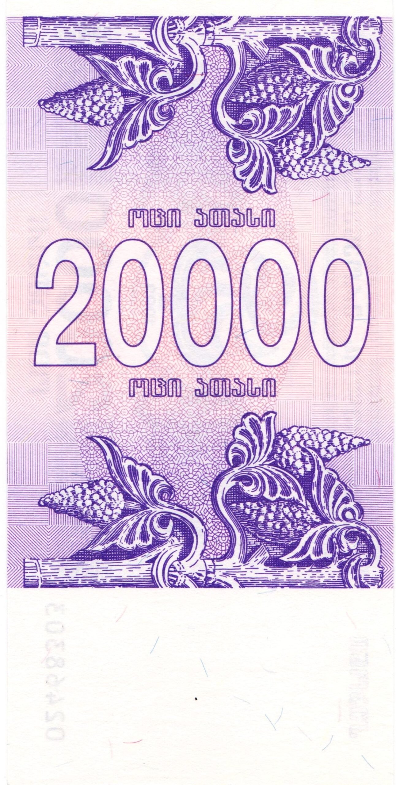 Реверс банкноты 20000 купони (Грузия) 1993 года