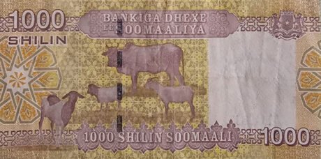 Підтверджено нову банкноту Сомалі номіналом 1000 шилінгів (B317a)