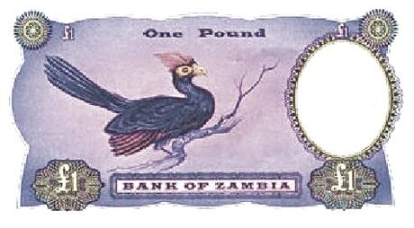 Реверс банкноты 1 фунт (Замбия) 1963 года