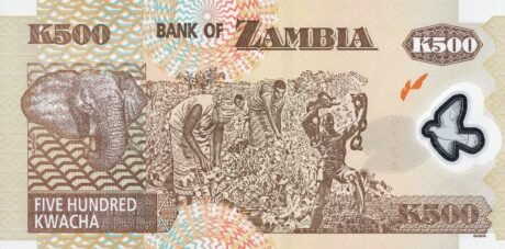 Реверс банкноты 500 квача (Замбия) 2003 года
