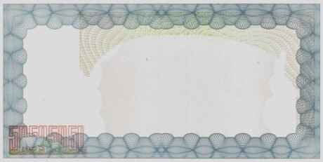 Реверс банкноты Экстренный чек на предъявителя на 5000 долларов (Зимбабве) 2003 года