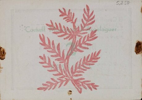 Реверс банкноты 2 песеты Аргелагер (Испания) 1937 года