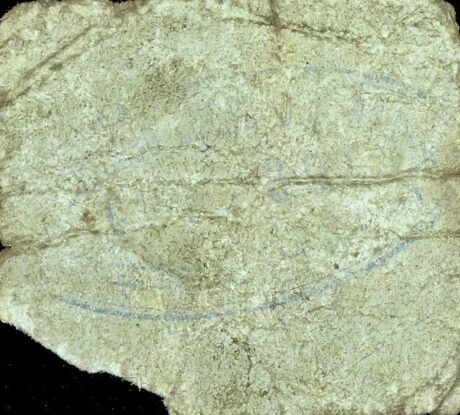 Реверс банкноты 50 centymów siana (Hiszpania)