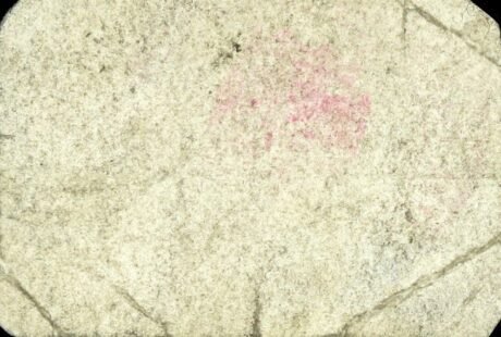 Реверс банкноты 5 сантимов Ноалехо (Испания)