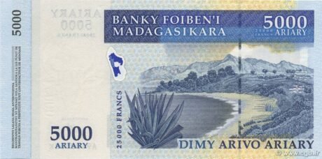 Реверс банкноты 5000 ариари / 25000 франков (Мадагаскар) 2003 года