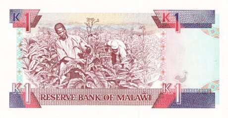 Реверс банкноты 1 квача (Малави) 1990 года