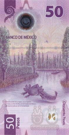 Реверс банкноты 50 песо (Мексика) 2021 года
