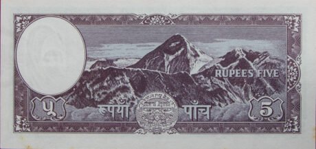 Реверс банкноты 5 рупий 