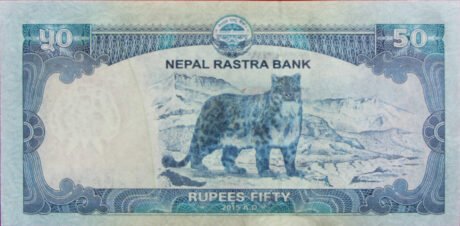 Реверс банкноты 50 рупий (Непал) 2015 года