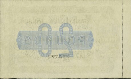 Реверс банкноты 20 фунтов (Новая Зеландия) 1907 года