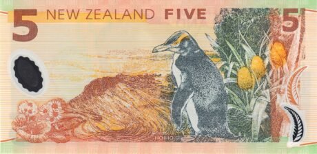 Реверс банкноты 5 долларов (Новая Зеландия) 1999 года