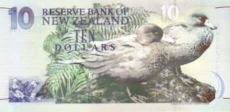 Реверс банкноты 10 dolarów „greenback” (Nowa Zelandia) 1992