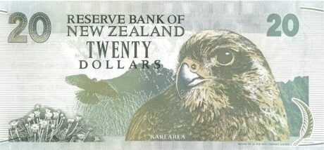 Реверс банкноты 20 долларов 