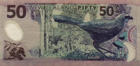 Реверс банкноты 50 долларов (Новая Зеландия) 1999 года