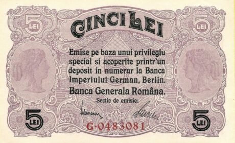 Аверс банкноты 5 лей  