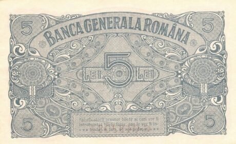 Реверс банкноты 5 лей  