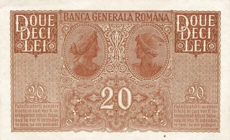 Реверс банкноты 20 лей 