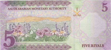 Реверс банкноты 5 riali (Arabia Saudyjska) 2016