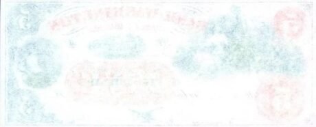 Реверс банкноты 5 долларов Bank of Washington - North Carolina (Соединенные Штаты Америки) 1850 года