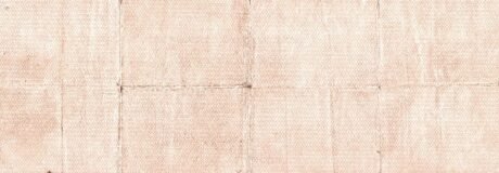 Реверс банкноты 250 rubli „Drugi Syberyjski Tymczasowy Zarząd” (Rosja) 1919