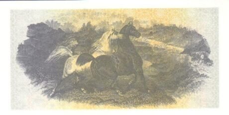 Реверс банкноты 500 рублей (Россия) 1993 года