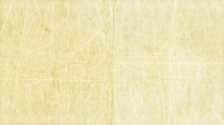 Реверс банкноты 5 szylingów (Fidżi) 1920