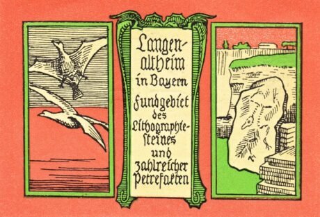 Реверс банкноты 25 fenigów (Niemcy) 1920