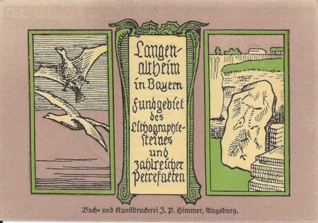 Реверс банкноты 50 fenigów (Niemcy) 1920