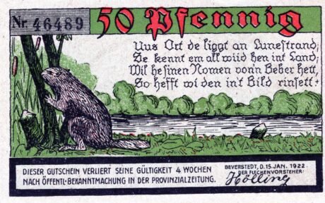 Аверс банкноты 50 fenigów (Niemcy) 1922