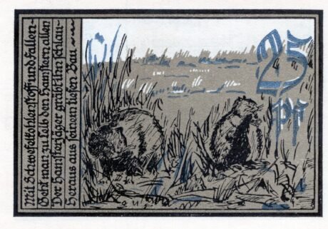 Реверс банкноты 25 fenigów (Niemcy) 1921