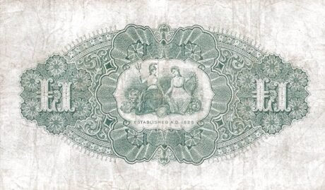 Реверс банкноты 1 фунт 