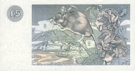 Реверс банкноты 5 funtów „Clydesdale Bank” (Wielka Brytania) 1982