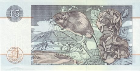 Реверс банкноты 5 funtów „Clydesdale Bank” – dwusetna rocznica śmierci Roberta Burnsa (Wielka Brytania) 1996