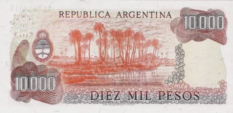 Реверс банкноты 10 000 pesos (Argentyna) 1976