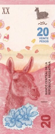 Аверс банкноты 20 песо (Аргентина) 2017 года